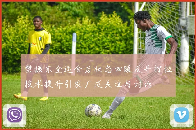 樊振东全运会后状态回暖反手拧拉技术提升引发广泛关注与讨论
